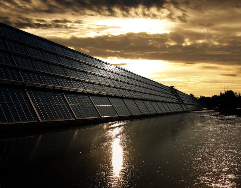 Bulk Solar Panels: A Complete Buyers Guide for Businesses