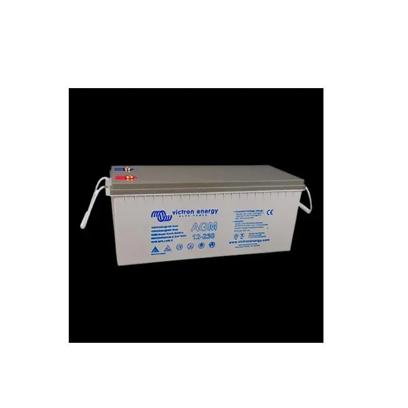 Victron Energy BAT412123081