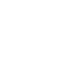 shipping icon