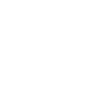 Shield icon