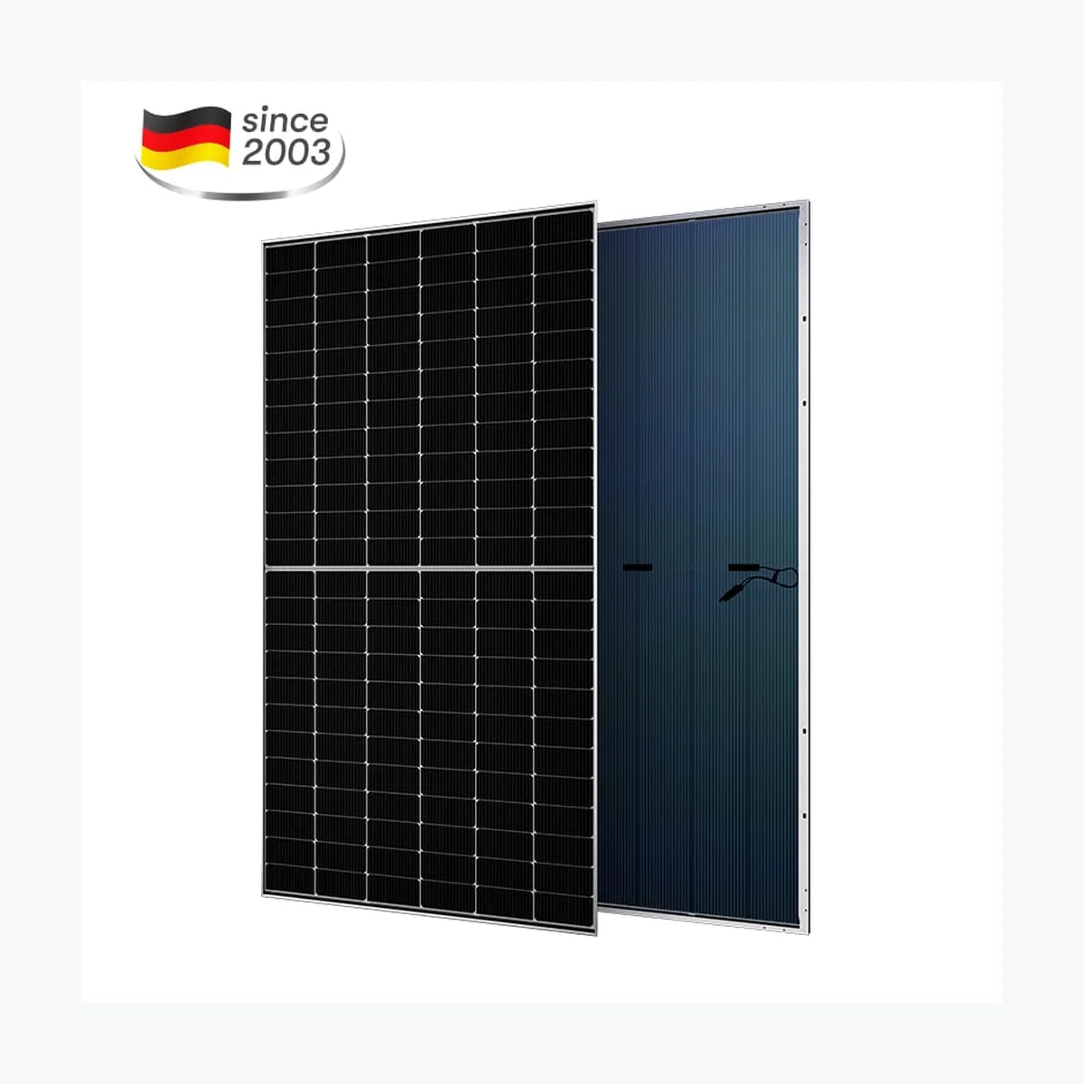 Aesolar AE550MD-144BD — Aesolar module (ENF-verified)