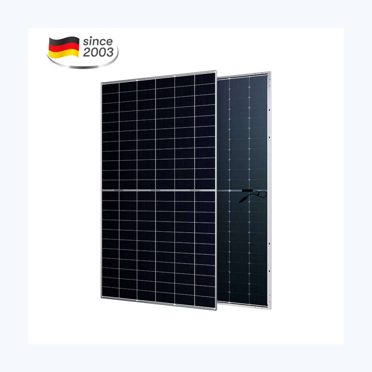 Aesolar AE700CME-132BDS — Aesolar module (ENF-verified)