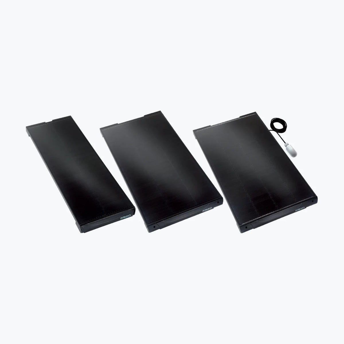 Teleco 170WS — Teleco module (ENF-verified)
