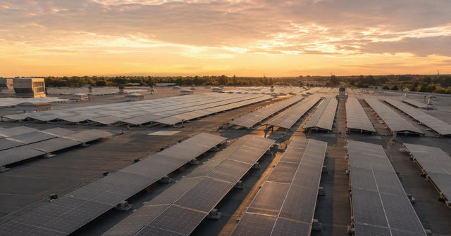 Panel solar Trina Vertex — guía de marca PES Supply