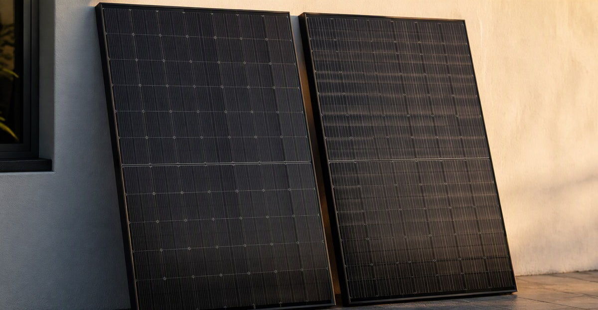 REC Alpha Pure-RX vs Qcells Q.TRON: Premium Residential Panels 2026