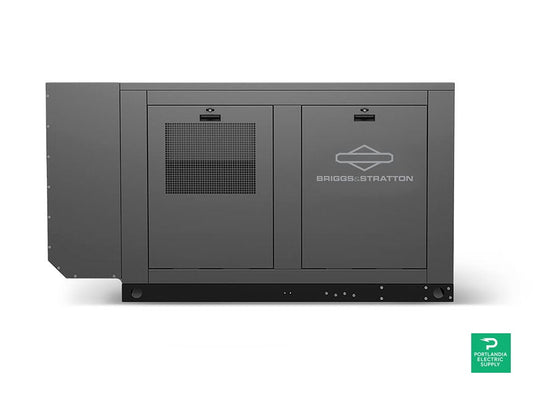 Briggs & Stratton 080005 Liquid Cooled LPV 80kW Standby Generator — PES Supply