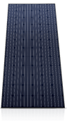 390 Black Mono