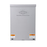Briggs & Stratton 100 Transfer Switches - 480V | Portlandia Electric Supply