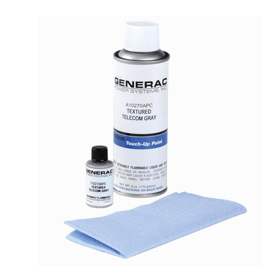 Generac Paint Kit - Gray for 2008 model line up