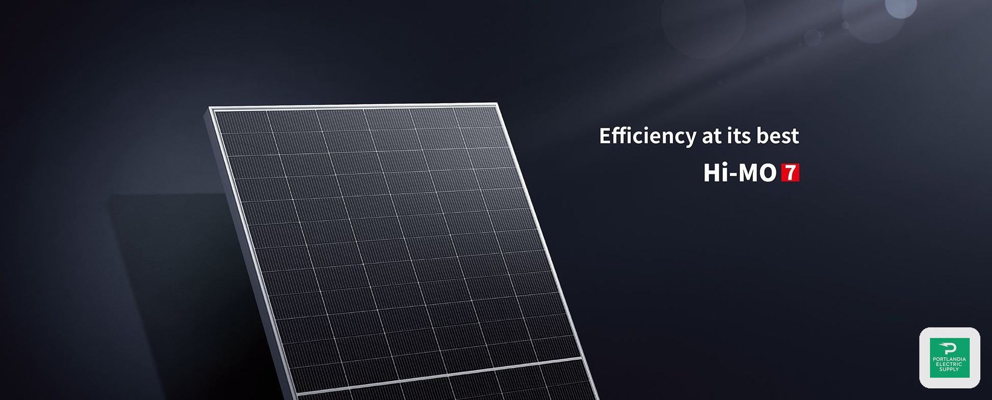 LONGi Solar LR5-72HGD-565M — PES Supply