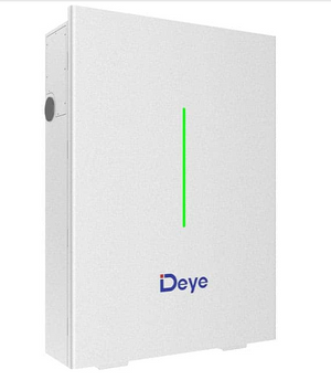Deye 10.24 kWh 48V Advanced LiFePO4 Battery w/ BMS — Wall/Floor Mount (RW-F10.2-B)