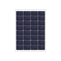 OPES Solutions Omnia Series Mono 100 Watt