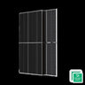 Trina 535W Mono XL Bifacial Solar Panel (Pallet of 36 Modules) - TSM-DEG19C.20-BF-PALLET