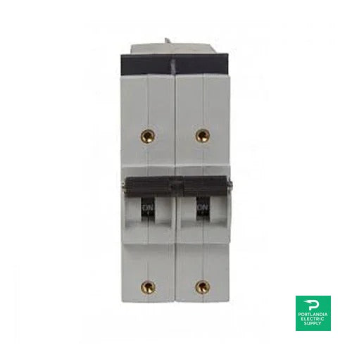 Outback Power 2-Pole 60A Circuit Breaker - PNL-60D-300VDC