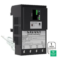 Savant 1 In Single 60A Power Module Pigtail - GPM-H1R60240-21