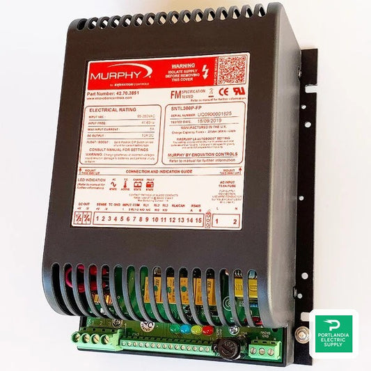 Briggs and Stratton 35-60kW Sentinel Battery Charger, NFPA 110 - 6513