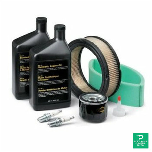 Briggs and Stratton 25-30kW Maintenance Kit (3600 RPM Units - 1000 hour belt change) - 6268