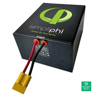 Briggs and Stratton Simpliphi PHI 1.4 LFP Battery, 24V- ABS-052004 PHI-1.4-24-T