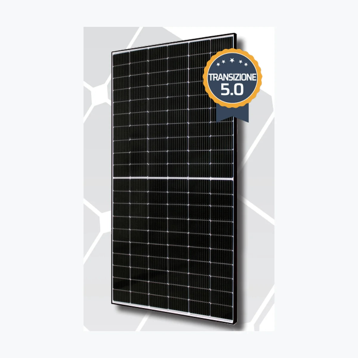 Sunerg Solar XMHCTP480BW+H — Sunerg Solar module (ENF-verified)