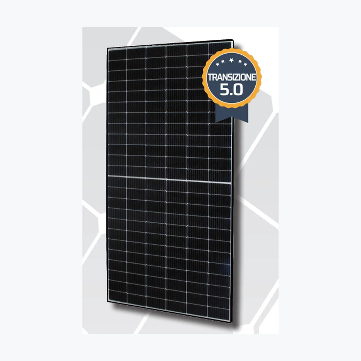 Sunerg Solar XMHCTQ580BW+H — Sunerg Solar module (ENF-verified)