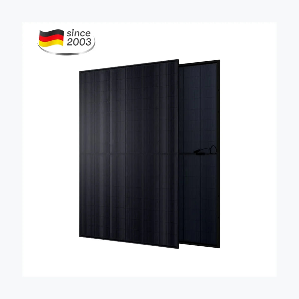 Aesolar AE 440CMER-96BDE — Aesolar module (ENF-verified)