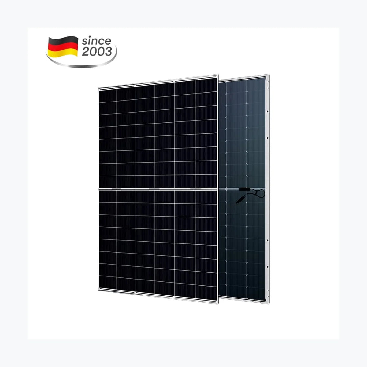 Aesolar AE 455CMER-96BDS — Aesolar module (ENF-verified)