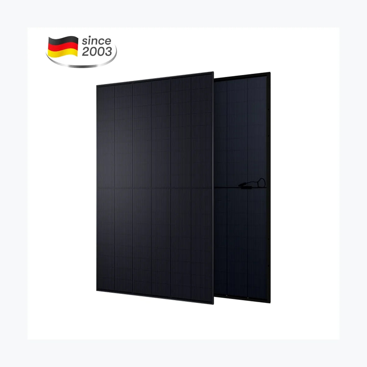 Aesolar AE 490 CMER-108BDE — Aesolar module (ENF-verified)