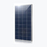 Yangtze Solar Power YS150P-36 — Yangtze Solar Power module (ENF-verified)