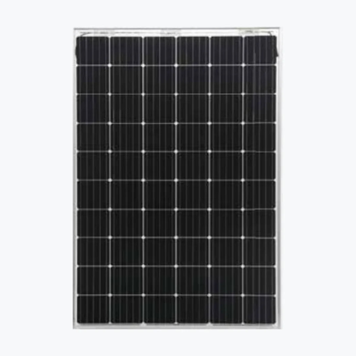 Biglux BL295M-60 — Biglux module (ENF-verified)