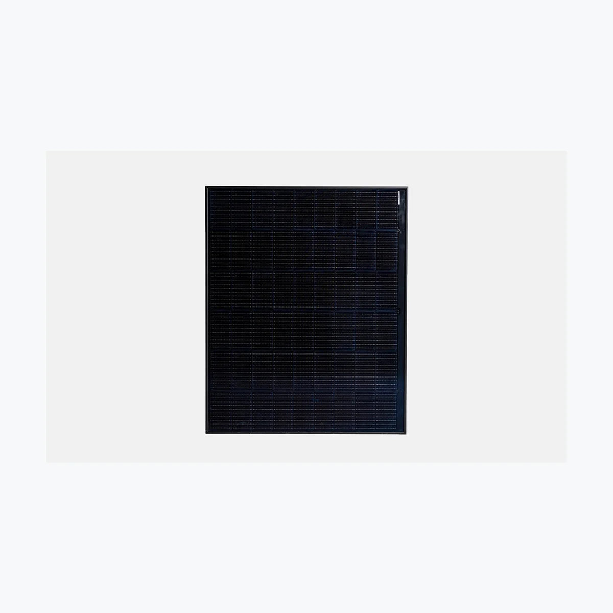 WWB WS-205M-182H54Y — WWB module (ENF-verified)