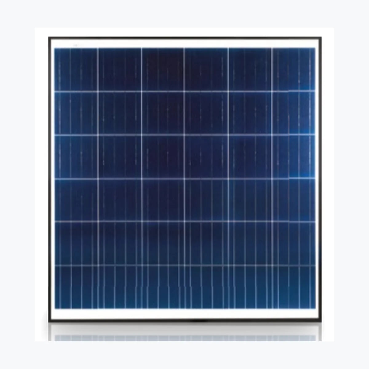 Solar Quest SQZA170P-36 — Solar Quest module (ENF-verified)