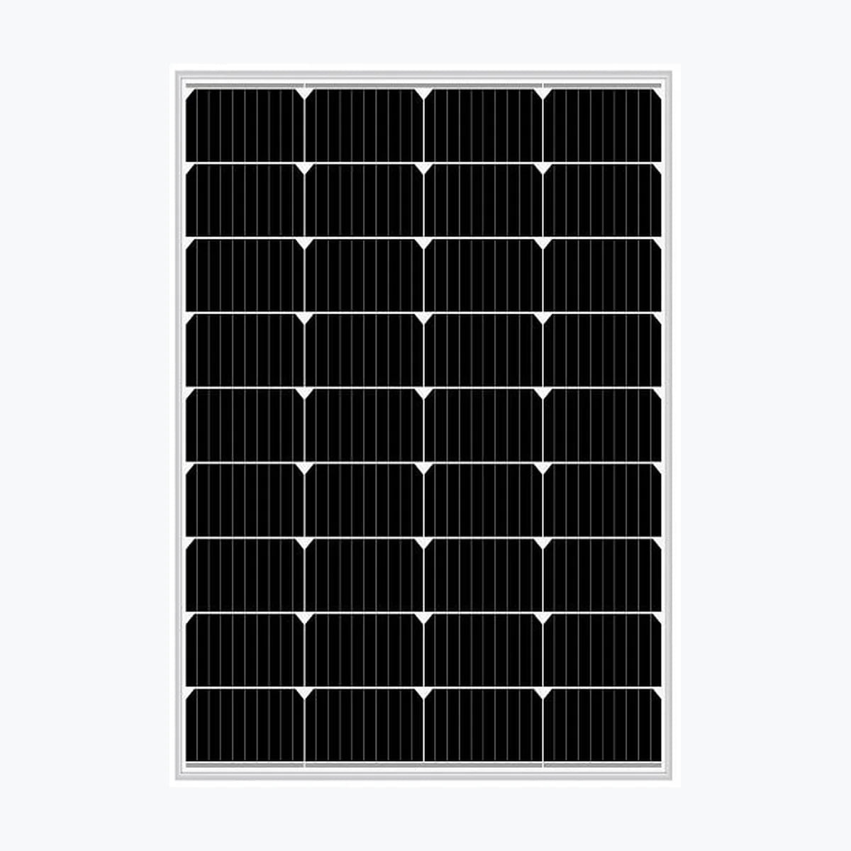 Fortunes Solar FDS100-12M10 — Fortunes Solar module (ENF-verified)