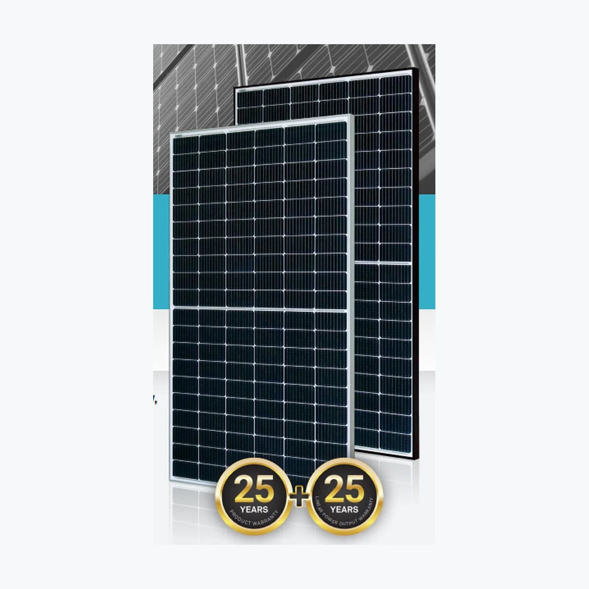 Energizer Solar ENSP60M2450BF — Energizer Solar module (ENF-verified)