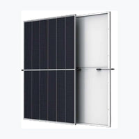 Sunfuture SF600-120HCM12 — Sunfuture module (ENF-verified)