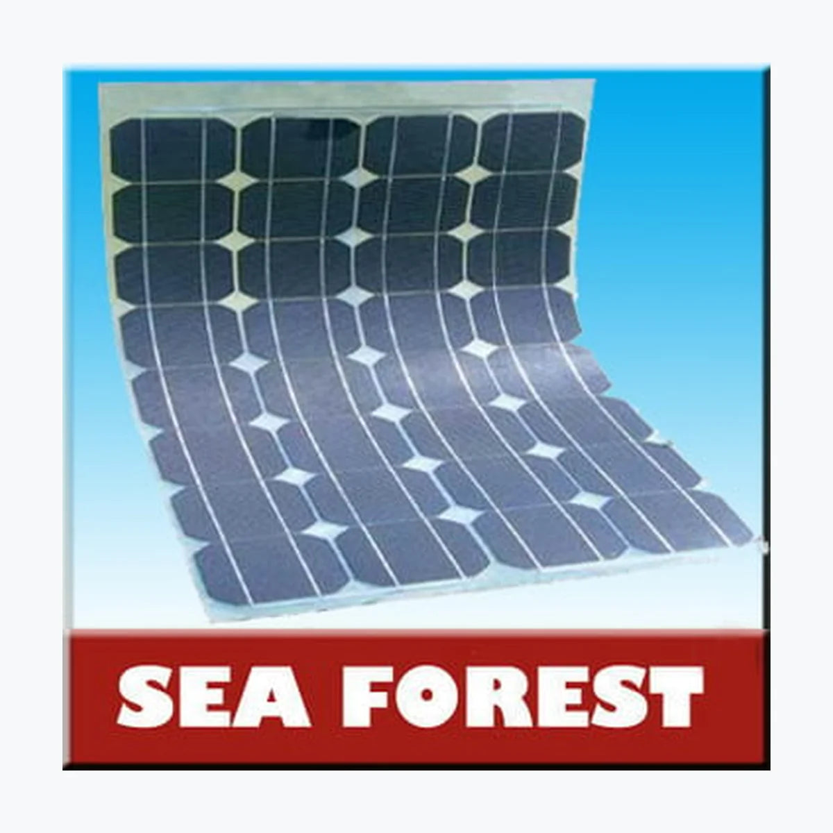 Seashine Forest SF100-12 — Seashine Forest module (ENF-verified)