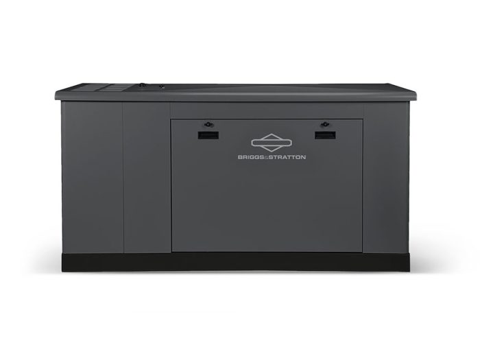 17031 Briggs Stratton 076830 F 1